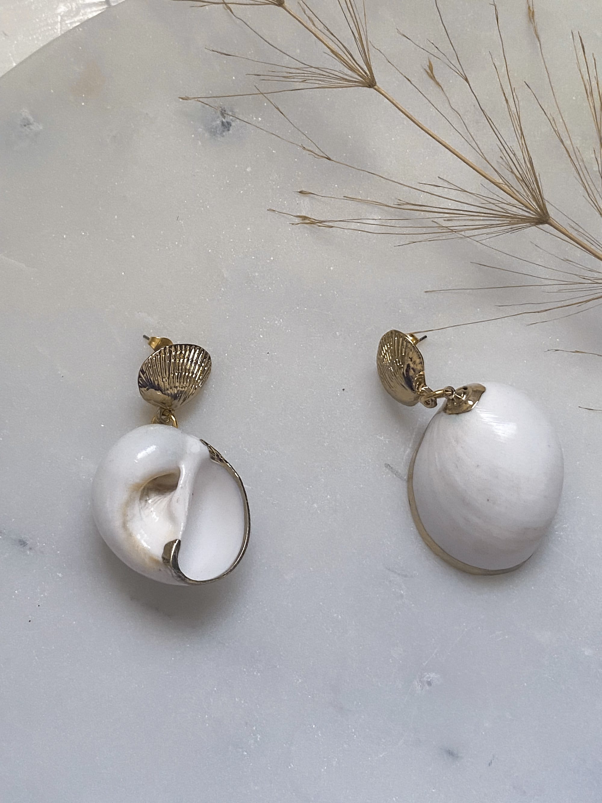 Big natural sea shell earrings, Clam gold stud earrings, Little Mermaids Jewelry, Siren core Aesthetic Jewelry, Mum Gift for Her, GRACE