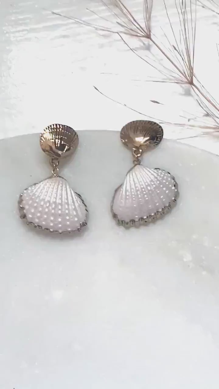 Natural sea shell earrings