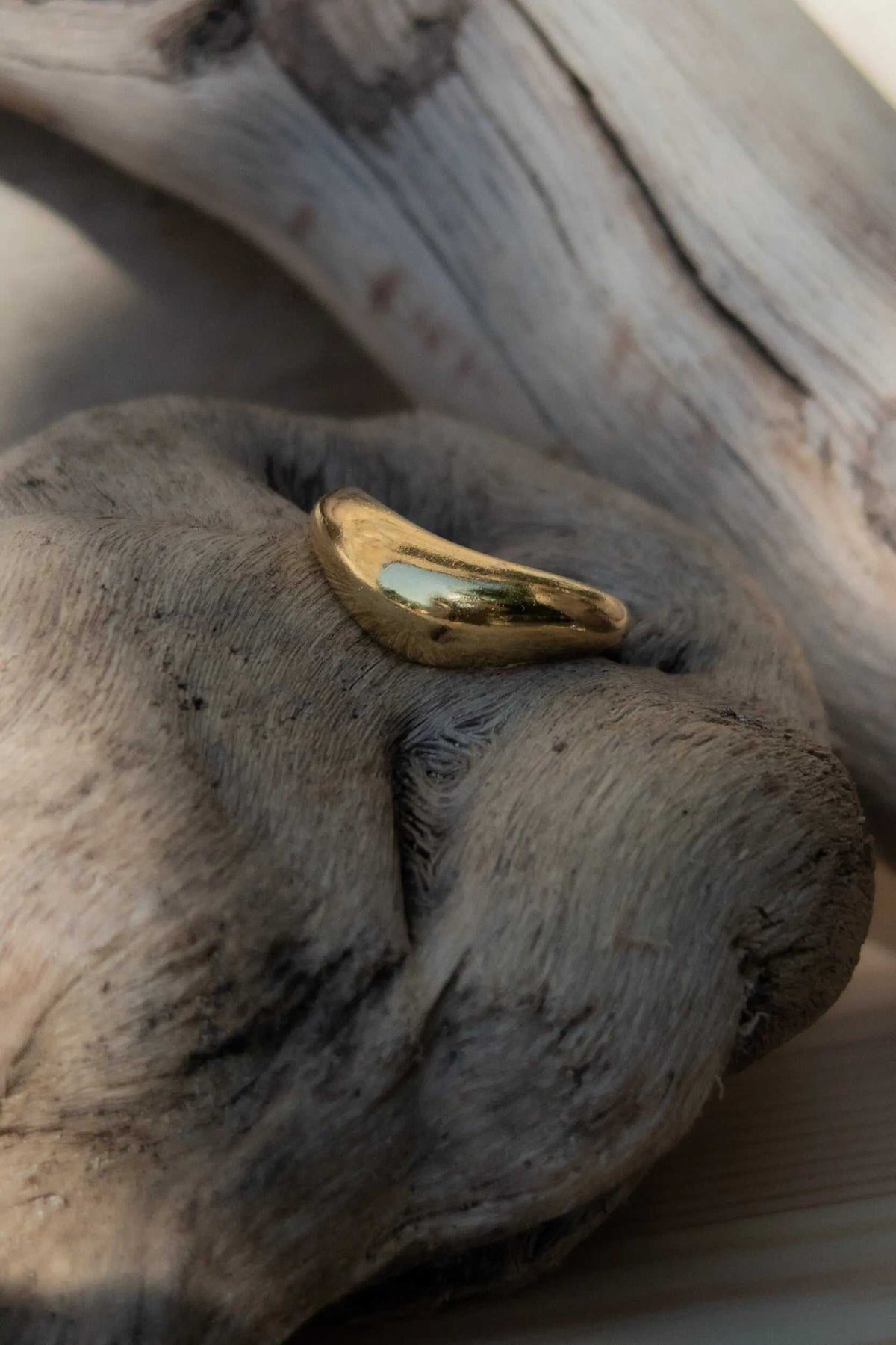 Gold dome ring with a polished, sculptural wave-shaped band and smooth rounded profile
