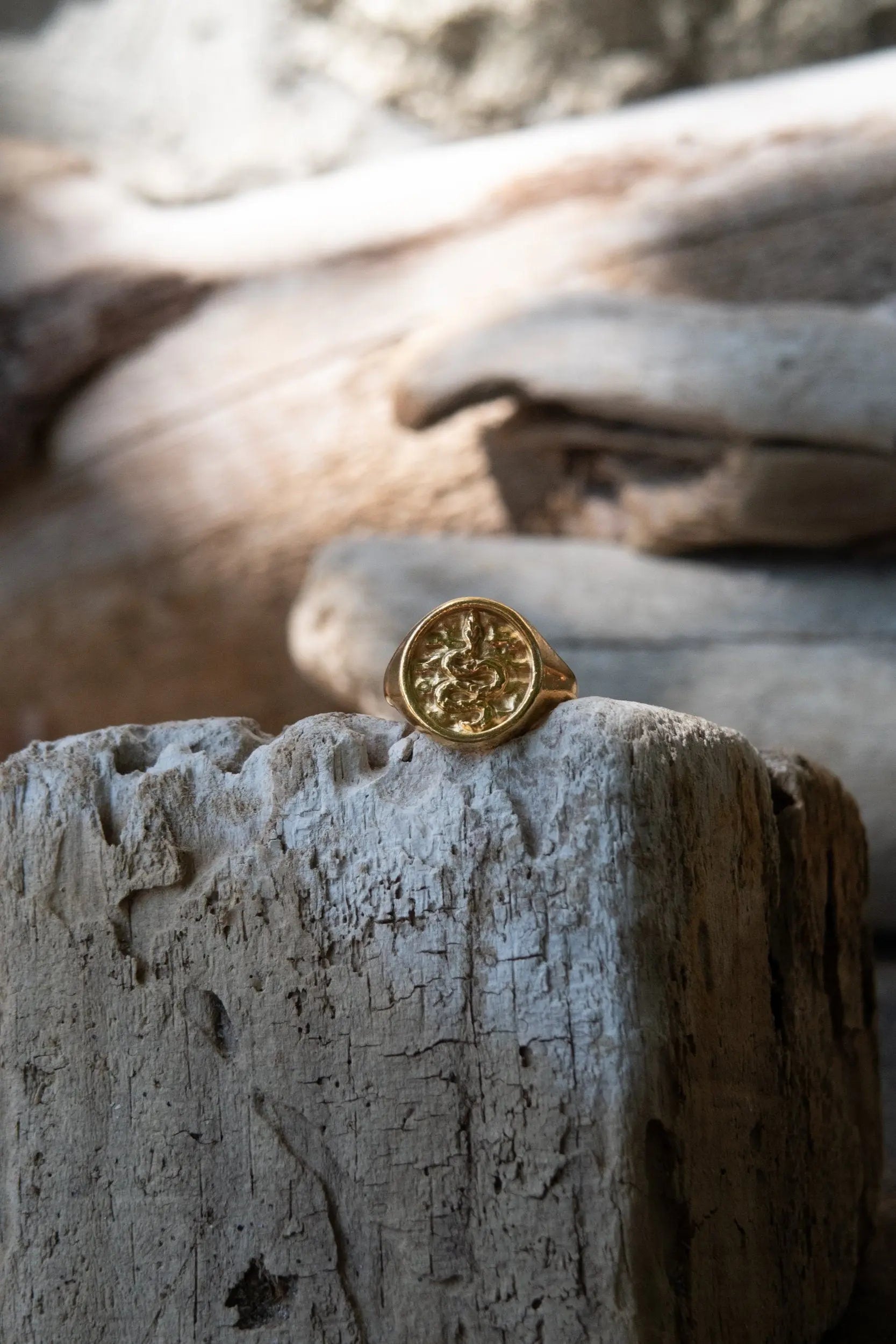 Snake Stamp Coin ring, Ethnic Grecian ring for women, Tribal Boho Ring, Gold adjustable ring, 24K Gold plated ring, Greek jewelry