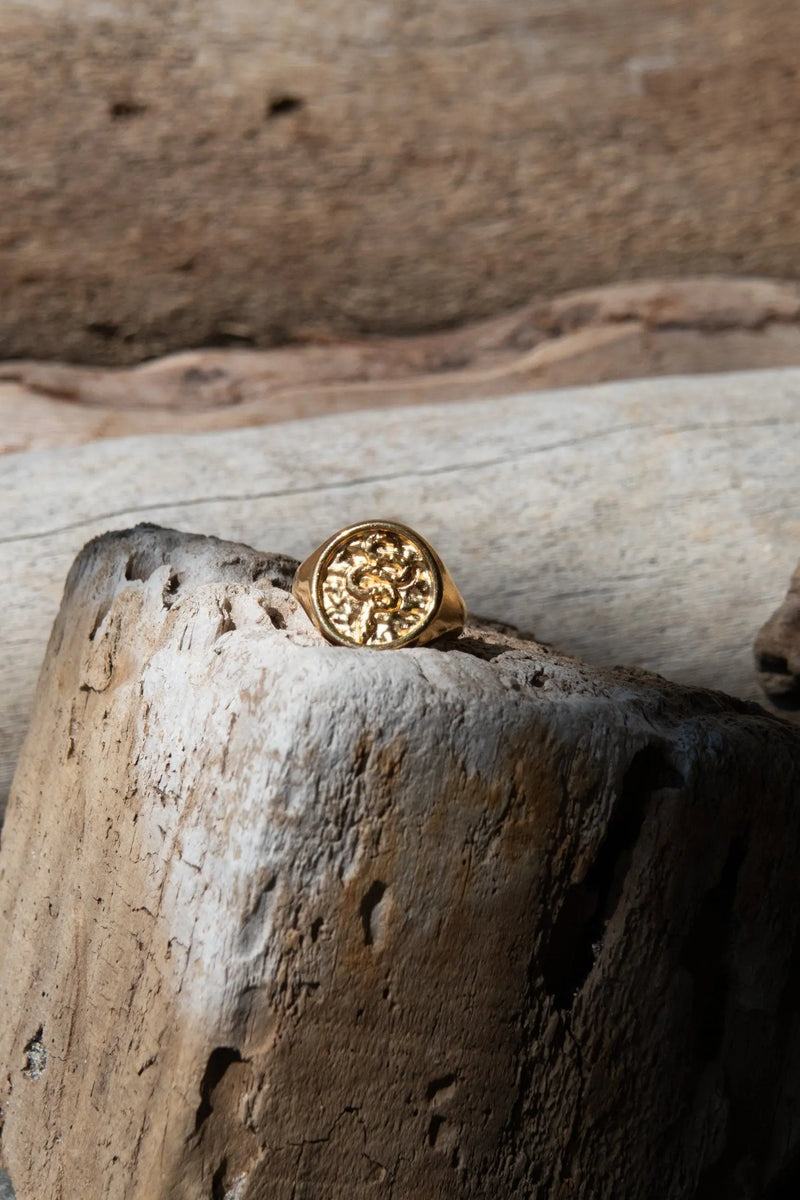 Snake Stamp Coin ring, Ethnic Grecian ring for women, Tribal Boho Ring, Gold adjustable ring, 24K Gold plated ring, Greek jewelry