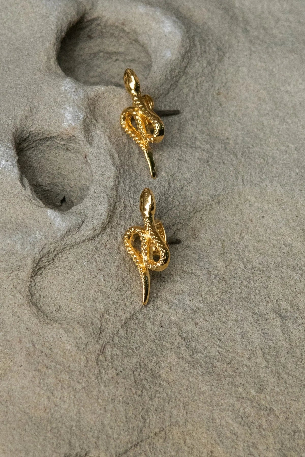Snake gold earrings in a shiny gold-tone snake design, with two coiled serpents and textured detailing.