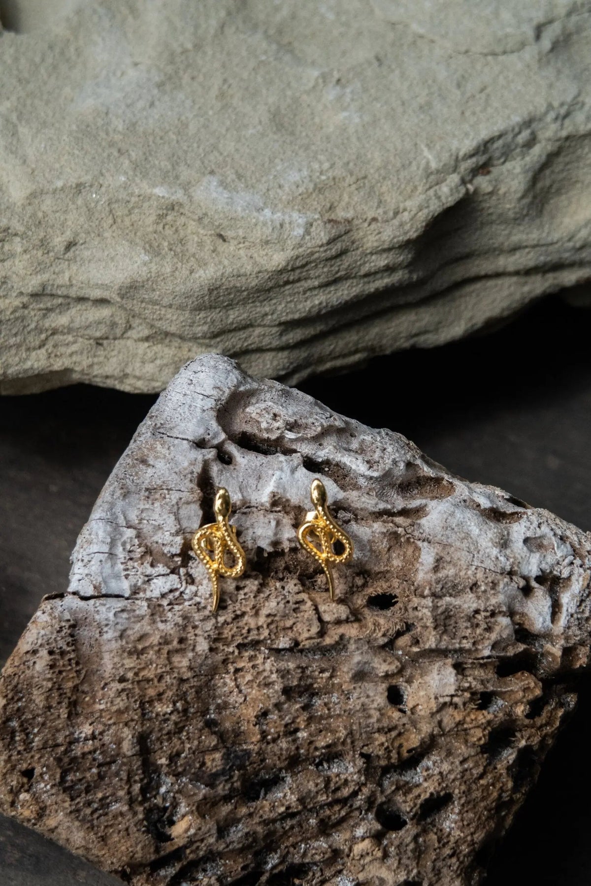 Snake gold earrings in bright gold, formed as small coiled serpents with textured detailing and curved tails.