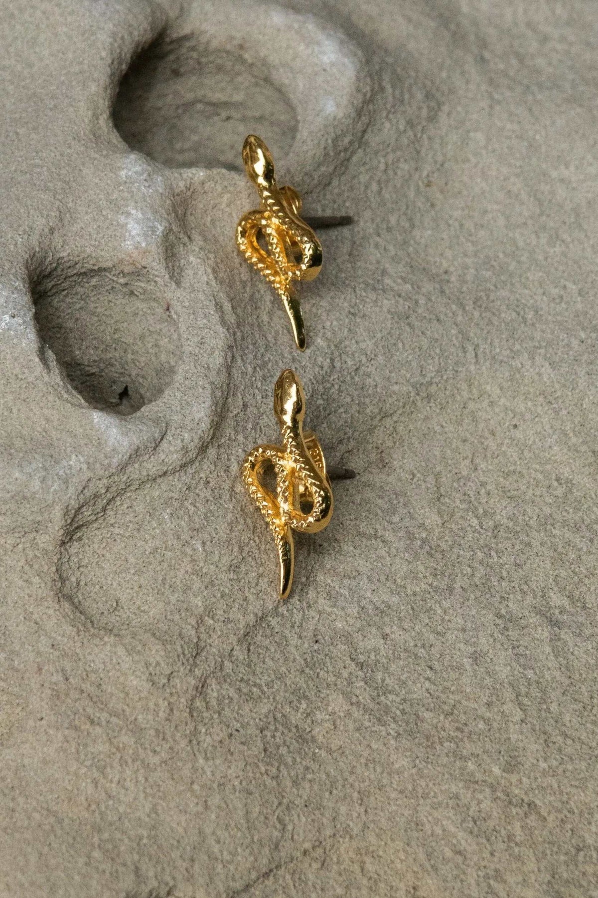 Snake gold earrings in shiny gold with a coiled snake design, textured scales and slender pointed tails