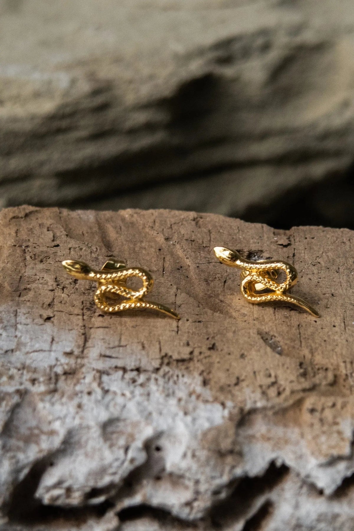 Snake gold earrings featuring a pair of shiny gold snake-shaped studs with textured coiled bodies and curved tails