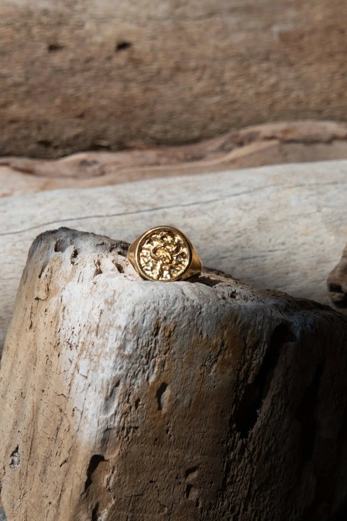 Snake Stamp Coin ring in gold-tone metal with a round, raised coin face featuring an ornate embossed design