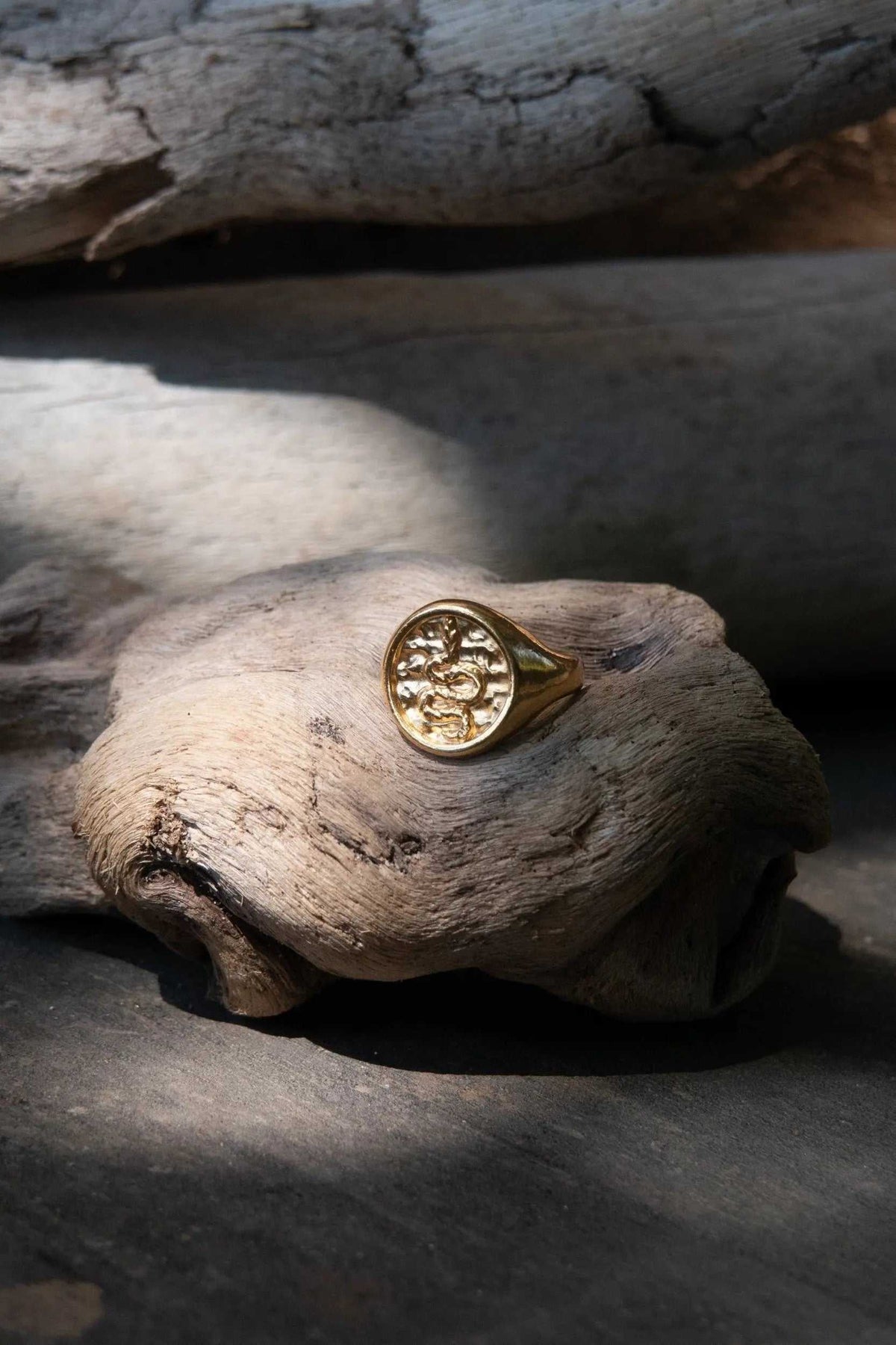 Snake Stamp Coin ring in gold tone, featuring a round coin face embossed with a winding snake motif and a tapered band.