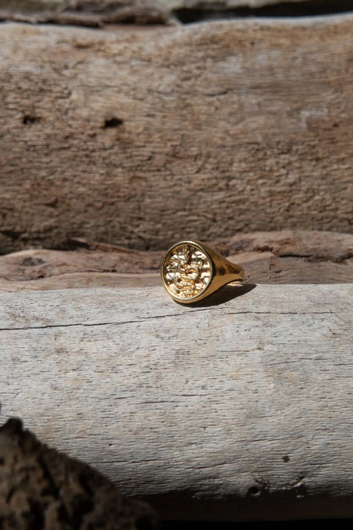 Snake Stamp Coin ring in gold-tone metal, featuring an oval coin face with a raised, detailed snake motif