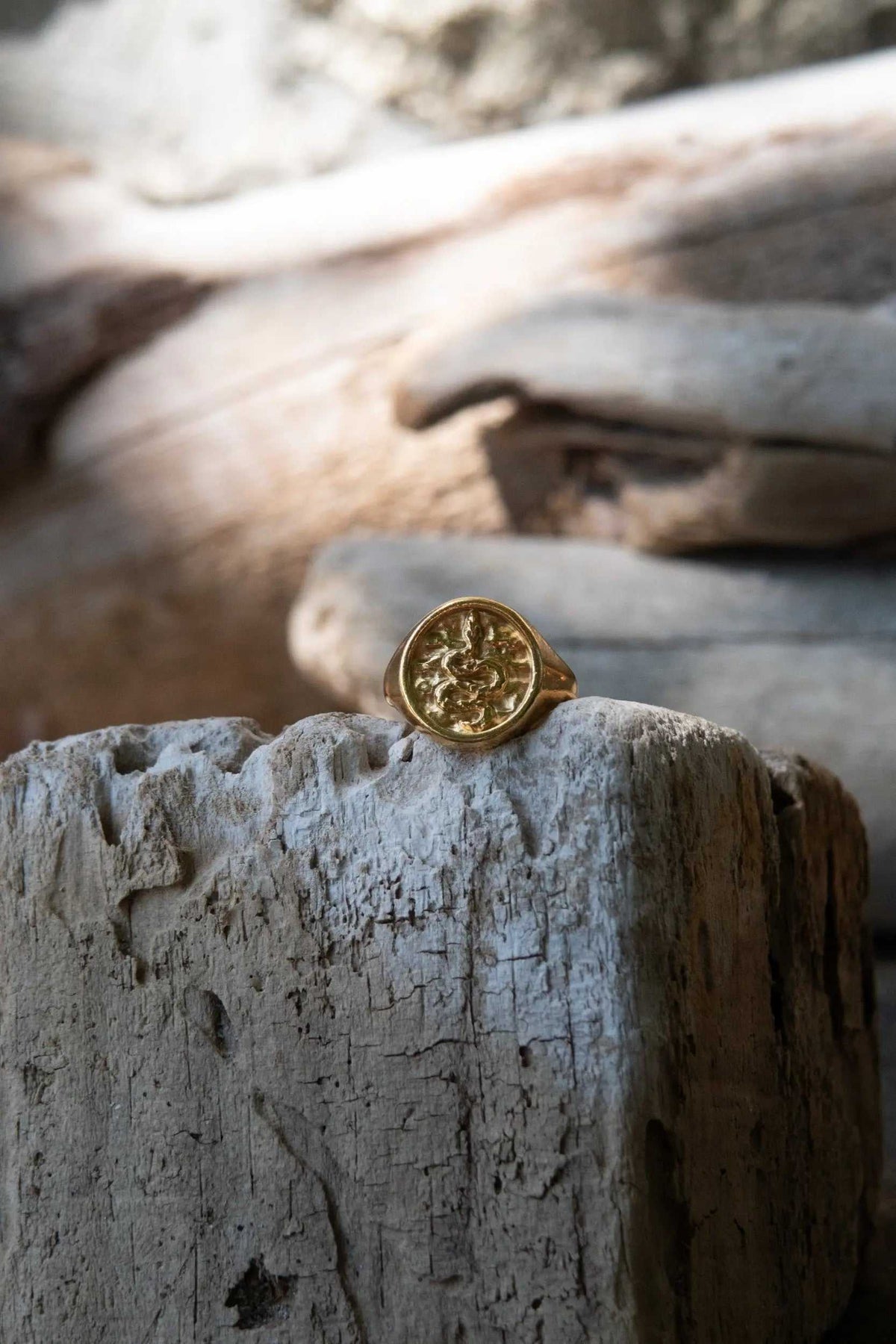 Snake Stamp Coin ring in gold-tone metal, featuring a round raised coin face with a textured snake design
