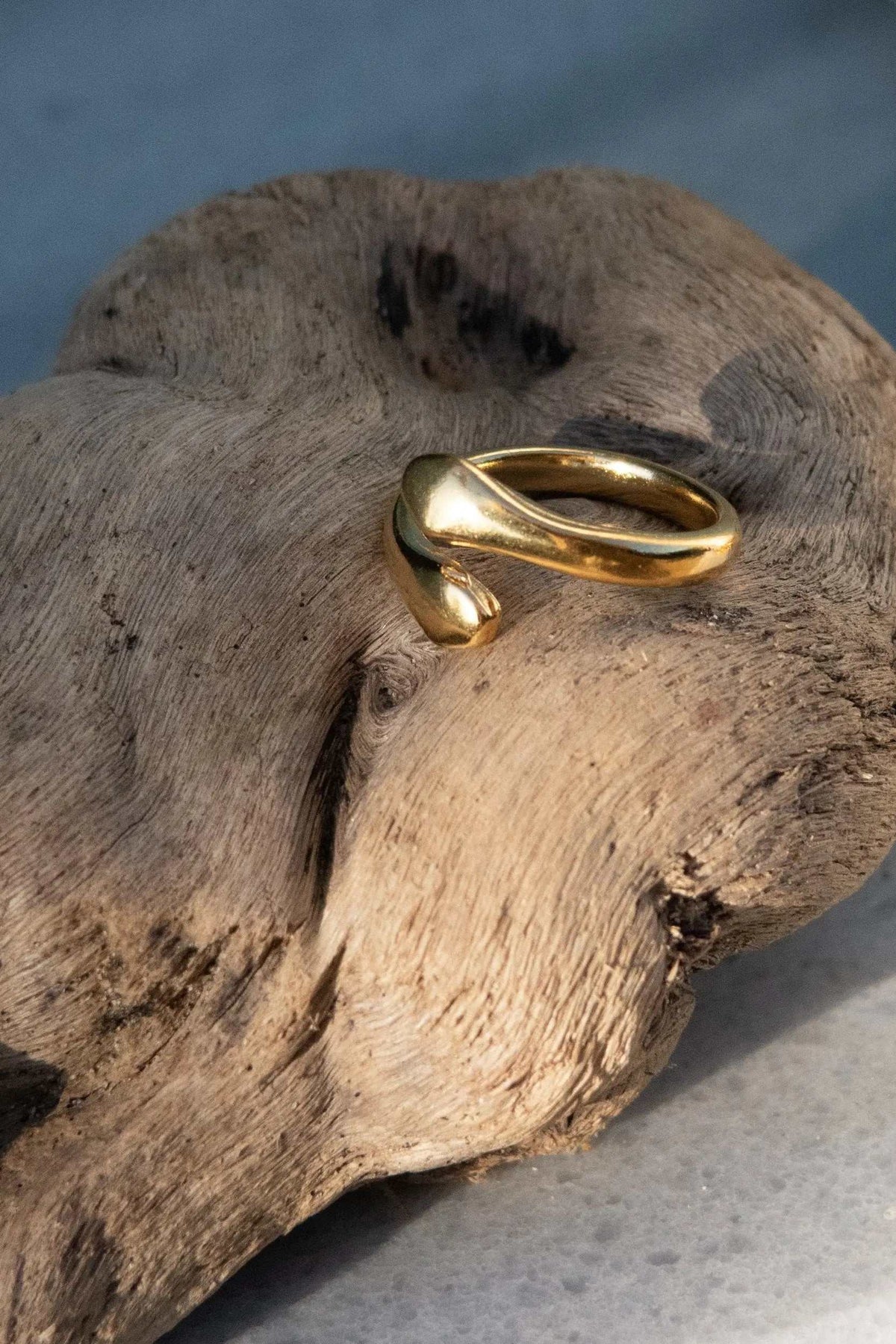 Snake Wrap RING in polished gold-tone metal, with a smooth serpent form curling around the finger